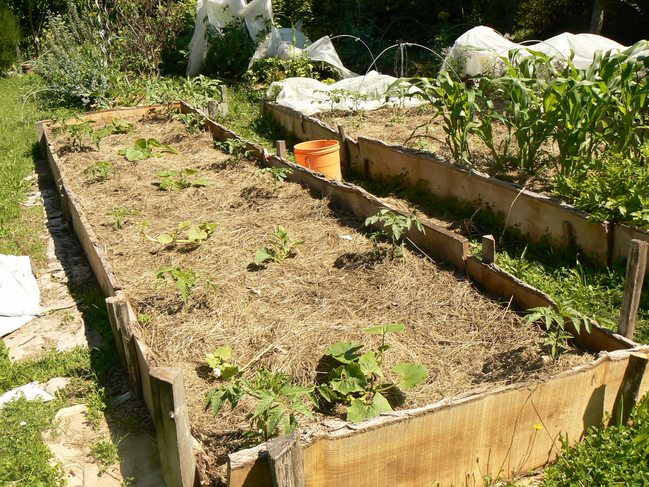 La Culture En Lasagnes Sud Rh ne Environnement